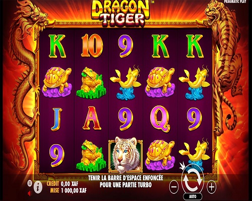 Dragon Tiger 11 1 1