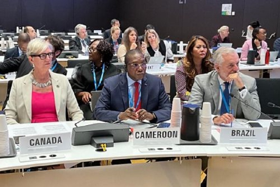 Le Cameroun devient membre du Conseil exécutif de l’OMS