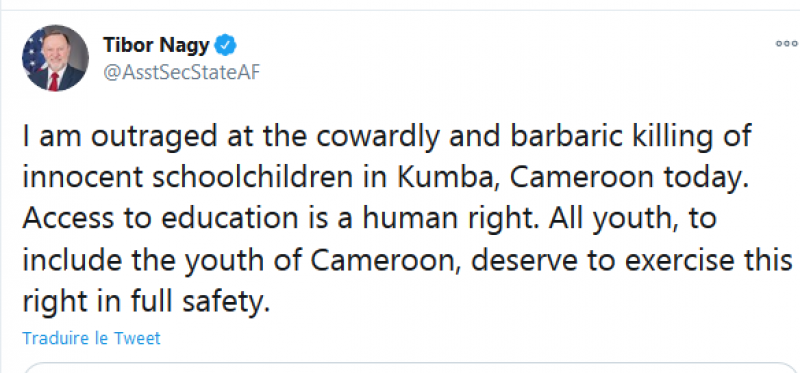 Screenshot 2020 10 27 Tibor Nagy sur Twitter cameroon info p net 800xm9x