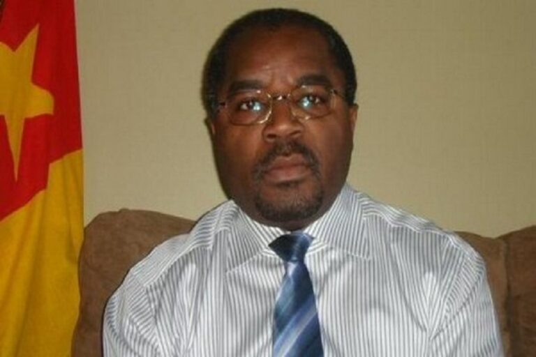 Cumul de poste ministeriel: La lettre de Sosthene Vincent Fouda à Paul Biya