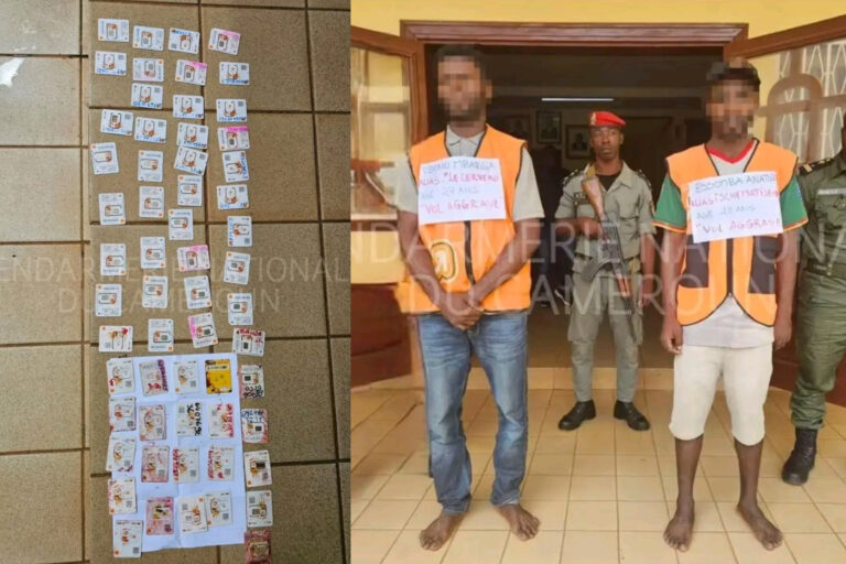 Sud : deux faux agents Orange Money écroués après une vaste escroquerie aux millions